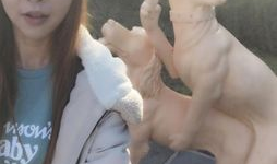 韩国性爱直播fc,揭秘网络直播的灰色地带