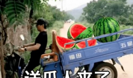 今日爆料吃瓜阳宝骑行圈,揭秘今日爆料背后的精彩故事